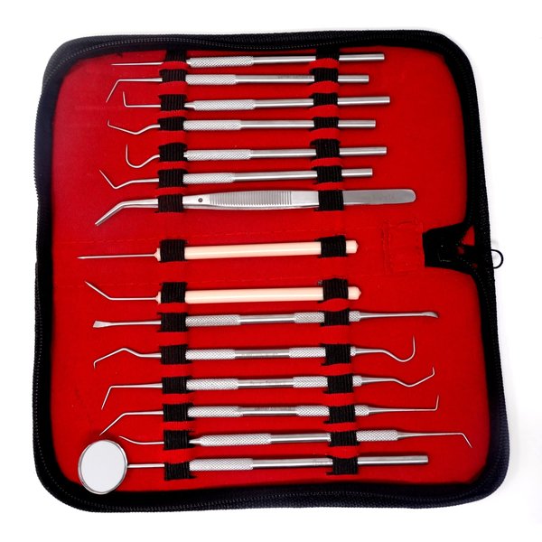 Dental Care Set Dentist Tools Kit of 15 Pcs Professional Calculus and Plaque Remover Dental Hygiene Set Made of Stainless Steel Tarter Scraper, Tooth Pick and Mouth Mirror for Teeth Cleaning