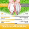 comzler Type B Small Light Bulb, Candelabra LED Light Bulb E12 Small Base 4000K Neutral White - 60watt Equivalent,600LM,Non-Dimmable Candelabra Bulbs, Pack of 6, Non-Dimmable