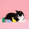 Fringe Studio Plush Cat Toy Set, Rawr-Some Crew, Mini 3 Piece Set, Pet Shop Collection (904036)