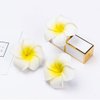 Flower Hair Clips Plumeria Hawaiian Hawaii Hair Clip Set Floral Barrettes Women Tropical Foam Wedding Vacation Beach Party Decorations Cosplay Costume Handmade Hair Accessories Plumeria White 12 Pack