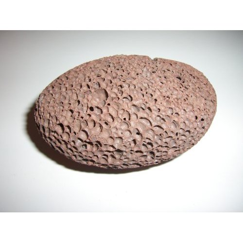 Pumice Stone by Dead Sea Spa Care, Buy 1 Get 1 Free