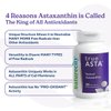 NatureCity TrueAsta 6mg Astaxanthin Supplement with AstaReal | Supports Eye, Skin, Joints, Muscles, Brain & Blood Flow | Algae Based Antioxidant Supplement | Non-GMO, Gluten Free | 30 Soft Gels