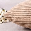 Home Brilliant 18x18 Throw Pillow Covers Decorative Set of 2 Soft Velvet Corduroy Striped Square Cushion Cover for Bench Couch Decor, 18 x 18 inch, Taupe