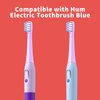 Replacement Toothbrush Heads Compatible with Colgate Hum Connected Smart Battery Toothbrush Refill Head, Purple, 12 Pack
