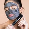 Aloette Pollution Control Environmental Defense Charcoal Clay Mask, Draws out Impurities, Deep Cleans Skin, Charcoal Powder, Lactic Acid Cruelty-Free, 1.5 Oz, Black