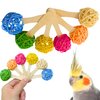 Bonka Bird Toys 2642 Pk6 Vine Lollipop Natural Chew Foot Talon Parrot Cage Toys, Cockatiel, Conure, Ringnecks, and Similar Breed Sizes