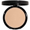 Dual Active Powder Foundation (Light Beige)