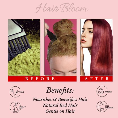 Hair Bloom Natural Red Hair Color- Henna w/Mixed Himalayan Herbs Hair Color Powder- 12 Individual Sachets (10 gm each)- Reusable Brush & Tray Included- Shiny & Smooth by Pride of India
