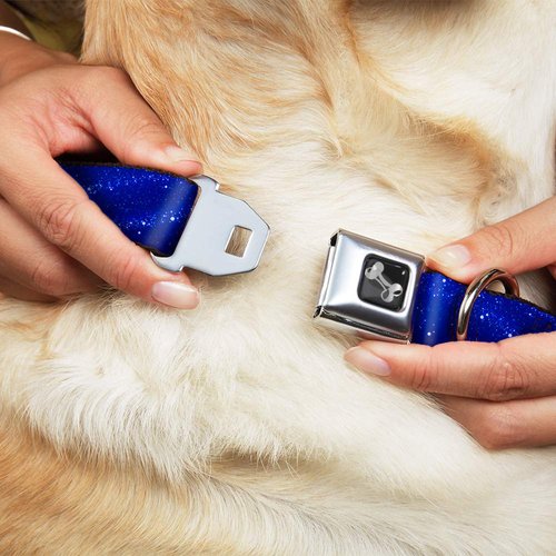 Dog Collar Seatbelt Buckle Galaxy Arch Blues White 9 to 15 Inches 1.0 Inch Wide