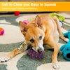 CoubonTail Dog Toy Ball, Dog Spiky Toy Ball with Squeaker, for Floating Chewing Fetching and Interactive Play (2pc Kit)