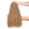 Leeven 24 Inch 2 Packs Water Wave Passion Twist Crochet Hair Blonde Hot Water Setting Synthetic Passion Twists Crochet Braids Hair for Butterfly Locs 36 Strands 27#