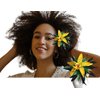Yellow Orchid Flower Hair Clip For Women - Tropical Boho Hairpiece for Bridesmaids and Flower Girls Luau Costume Accessories for Teens Handmade in Hawaii by Aviella Aloha