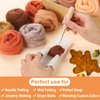 Needle Felting Wool - 10 Colour Fall Orange Brown Earth Tone Nature Fibre Wool Roving Yarn Hand Spinning Supplies for Beginners Adult Thanksgiving DIY Craft Materials, 10g/Colour