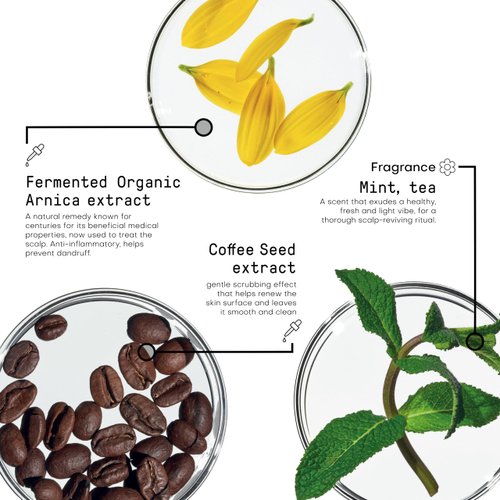 Framesi Morphosis Scalp Exfoliate, 5.1 fl oz, Scalp Exfoliator, Pre-shampoo Scalp Treatment