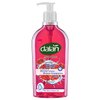 Dalan Sweet Pomegranate Multicare Ultra Moisturizing Liquid Hand Soap for Normal and Dry Hands Fresh Clean and Soft Feeling (13.5 Fl Oz / 400 mL (Pack of 12))