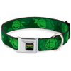 Buckle-Down Seatbelt Buckle Dog Collar - Classic TMNT Turtle Faces2 Greens - 1" Wide - Fits 11-17" Neck - Medium