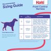HALTI Front Control Harness - To Stop Your Dog Pulling on the Leash. Adjustable, Lightweight and Easy to Use. Anti-Pull Dog Training Harness for Medium Dogs (Size M)
