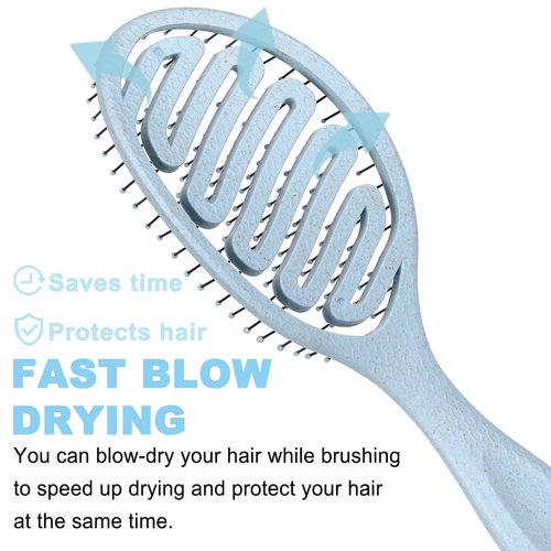 Daily Gard Detangling Brush, Dry and Wet Vented Detangler Hair Brush for Women and Men, Paddle Quick Drying Hairbrush for Wet/Dry/Curly/Thick/Long/Wavy/Damaged Hair, Blue