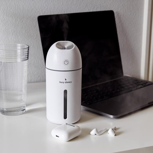 Hey Dewy Portable Facial Hydrating Cool Mist Humidifier (Wired Version)