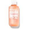 Bath and Body Works Body Care - Full Size Shower Gel Aloe + Vitamin E - 10 fl oz - Snowflakes & Cashmere#
