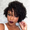 ZHENLISI Short Pixie Cut Afro Kinky Curly Brazilian Virgin Human Hair Wigs Short Jerry Curly No Lace Glueless Human Hair Wigs for Black Women