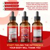 NURAFUSE Organic Berberine, Ceylon Cinnamon, Bitter Melon, Turmeric, Gymnema Liquid Drops – 1500mg per Serving, Ultra Potent – 2 FL OZ (60ml)