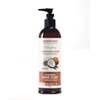 Scentuals Natural Liquid Hand Soap, Coconut, 19.2 Ounce