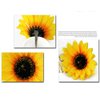 Patiky Sunflower Hair Clips for Women Girls Non Slip Alligator Clips Hairpin TS08 (2PCS New)