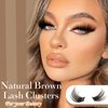 FOINEMYED Brown Lash Clusters 10-20mm Fluffy Cluster Eyelashes Brown False Eyelashes Individual Lashes Volume Eyelash Extension 154pcs Cluster Lashes DIY Lash Extension at Home