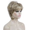 Aimole Short Layered Straight Wigs Synthetic Women's Wig Full Hair (H16-613)
