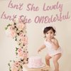 Sursurprise Miss Onderful 1st Birthday Decorations for Girl, Isn't She Lovely, Isn't She Onederful Banner Rose Gold First Birthday Party Supplies