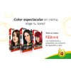 Xiomara Nutrint Hair Color Cream 100 Ebony Black/Tinte Negro Ebano 100
