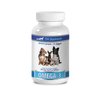 Natural Supplement for Dogs - Omega 3 - Advanced Complex - Health & Wellness - for Dogs - Omega 3 for Dogs Capsule - 1 Bottle (180 Softgels)