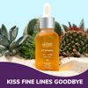 Minimo Skin Essentials Vitamin C Glow Face Oil – Facial Oil Instantly Nourishes | Vitamin C face Oil for glowing Radiant skin | Eternal Concentrated Lightweight Youth Enhancing Daily Face Oil - 1 oz