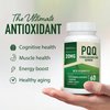 PQQ Supplement 20mg | Mitochondrial Biogenesis & Energy Optimizer With CoQ10 & Vitamin B12 | Supports Brain Health & Mitochondria Production | Ultra PQQ Formula | Vegan, Gluten-Free | 60 Capsules