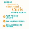 OGX Quenching + Coconut Curls Curl-Defining Conditioner, Nourishing Curly Hair Conditioner with Coconut /Citrus Oil & Honey, Paraben-Free with Sulfate-Free Surfactants, 13oz