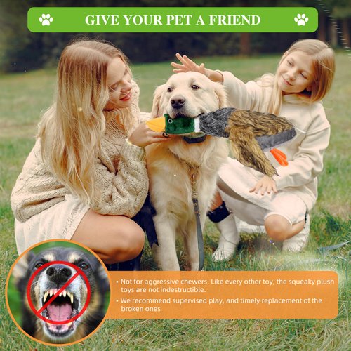 wangstar Squeaky Dog Toy for Puppy Dogs Toys to Keep Them Busy Mallard Duck Stuffed Dog Toys for Medium Small Dogs, 9" Wild Duck