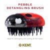 Kent PBUG Ladybug Pebble Scalp Massager Shampoo Brush, Shower Brush, and Travel Size Detangling Brush - Scalp Scrubber for Dandruff and Kids Hair Brush Hair Detangler - Hairbrush for Tangles