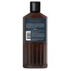 Cremo Rich-Lathering Palo Santo Body Wash for Men, Notes of Bright Cardamom, Dry Papyrus and Aromatic Palo Santo, 16 Fl Oz