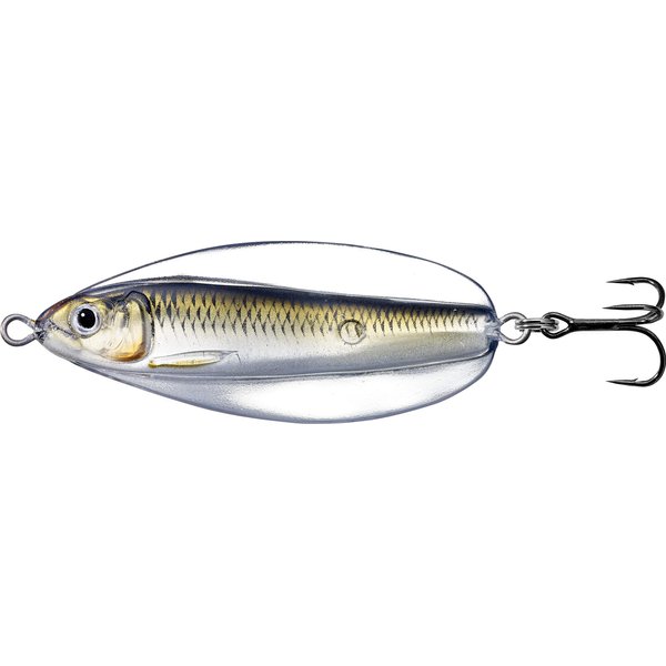 Live Target Fishing Tackle Lures Erratic Shiner Casting Silver-Bronze, Multicolored, One Size (ESS70SK205)