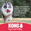 KONG - Flyer - Durable Rubber Flying Disc Dog Toy - For Small Dogs