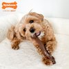 Nylabone Flexi Chew Wishbone Dog Chew Toy - Flexible Dog Toy for Moderate & Gentle Chewers - Flavor Medley, Wolf/Medium (1 Count)