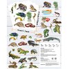 100 Pieces Reptile Temporary Tattoos,Reptile Snake Lizard Frog Crocodile Tortoise Themed Tattoos Stickers Party Decoration Supplies Party favors for Kids Adults