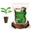 Hormex Rooting Cubes - Hydroponic Clone & Seed Starter - Peat Moss & Coco Plugs - Organic Ingredients to Root Healthy Plants - 50 Pack