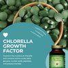 HealthForce SuperFoods Chlorella Manna - Powder - 100 Grams