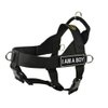 DT Universal No Pull Dog Harness, I Am A Boy, Black, X-Small, Fits Girth Size: 21-Inch to 25-Inch