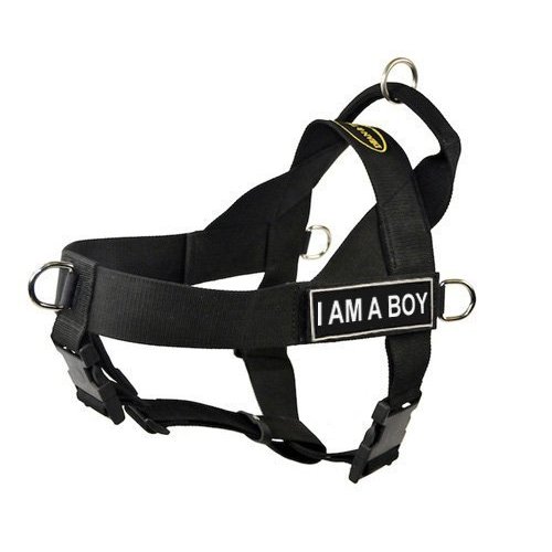 DT Universal No Pull Dog Harness, I Am A Boy, Black, X-Small, Fits Girth Size: 21-Inch to 25-Inch
