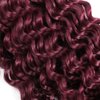 Burgundy Braiding Hair 100g Deep Wave 2 Bundle Bulk Human Hair for Braiding Deep Curly 100% Remy Human Hair Extensions for Boho Curly Wave Braids 99J Red Braiding Hair (20 Inch)