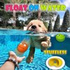 PUPATTIC Squeaky Dog Toys for Small Dogs, Flat Squeaky Dog Balls Small Dog Toy Ball, Latex Dog Squeaky Toys Ball 2.2"*2.2"*1.3"