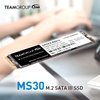 TEAMGROUP MS30 1TB with SLC Cache 3D NAND TLC M.2 2280 SATA III 6Gb/s Internal Solid State Drive SSD (Read/Write Speed up to 530/480 MB/s) Compatible with Laptop & PC Desktop TM8PS7001T0C101